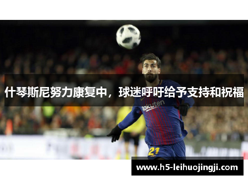 什琴斯尼努力康复中，球迷呼吁给予支持和祝福